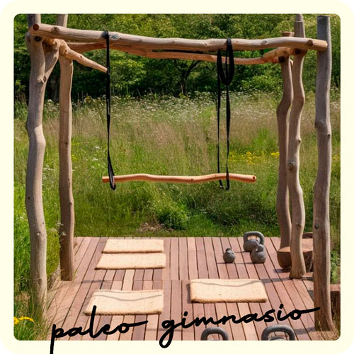 23-Paleo-gimnasio