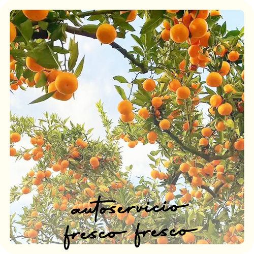 18 Arboleda de frutales_red