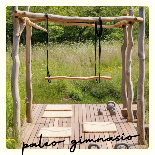 23 Paleo-gimnasio_red